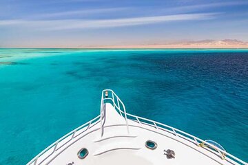Snorkeling with Dolphins & Lunch In Sataya Reefs From Marsa Alam - Image 3