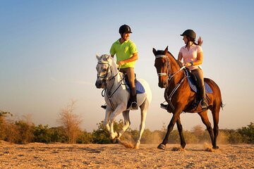 Two hours adventure Horse Riding with Transfer From Hurghada - Image 4