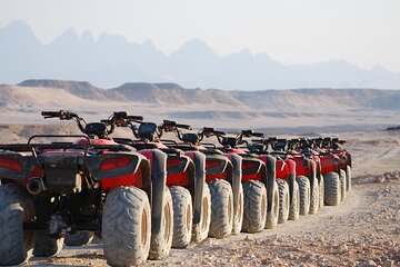 Dinner Party Super Safari Jeep, Quad & Camel Ride at Marsa Alam - Image 1