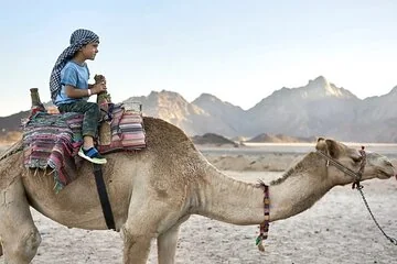 Dinner Party Super Safari Jeep, Quad & Camel Ride at Marsa Alam - Image 4