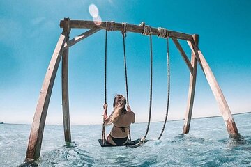 عرض كل الصور