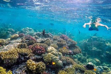 Eden Island Full Day Boat Trip With Lunch from EL_Gouna & Makadi - Image 2