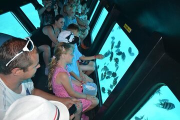 El Gouna Semi Submarine Sea Trip 2 Hours From Abu Tig Marina - Image 3