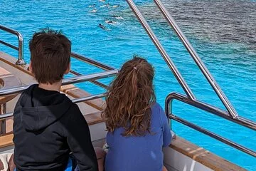 Satayeh Reef , Swimming with Dolphins, Snorkeling in Marsa Alam - Image 1