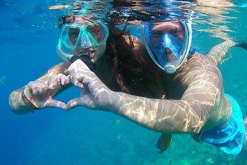 Satayeh Reef , Swimming with Dolphins, Snorkeling in Marsa Alam - Image 3
