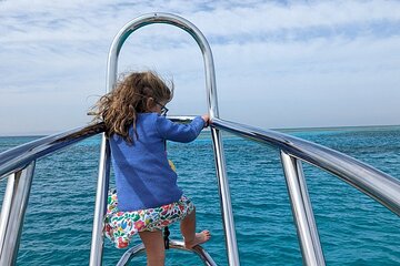 Satayeh Reef , Swimming with Dolphins, Snorkeling in Marsa Alam - Image 4