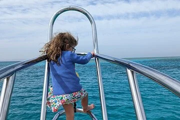 Satayeh Reef , Swimming with Dolphins, Snorkeling in Marsa Alam - Image 4