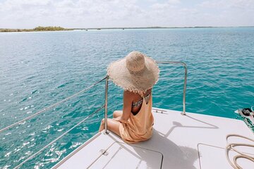 Exploring the Wonders of White Island and Ras Mohammed - Image 1