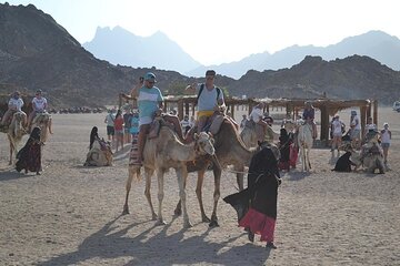 Discover the Best of Sharm : Quad, Camel, Dinner and Shows - Image 3