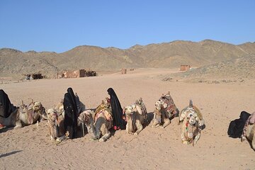 Super Safari Quad Bike, Jeep, Bedouin, Dinner & Show - Marsa Alam - Image 2