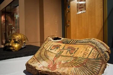 عرض كل الصور