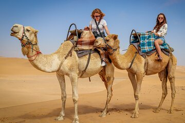 One Hour Camel Riding Desert with transfer From Hrghada - Image 4