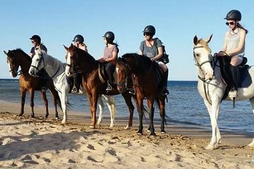 2 Hours Horse Riding on the beach and Desert from Hurghada