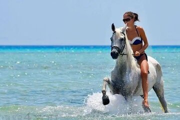 2 Hours Horse Riding on the beach and Desert from Hurghada - Image 3