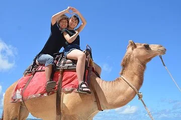 3 Hours Camel Riding Desert and Beach with transfer in Marsa Alam - Image 2