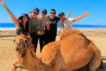 3 Hours Camel Riding Desert and Beach with transfer in Marsa Alam - Image 3