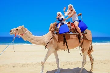3 Hours Camel Riding Desert and Beach with transfer in Marsa Alam - Image 4