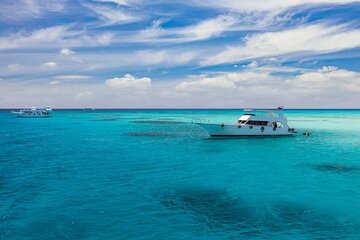 Dolphin House Samadai Reef Boat Snorkeling Trip from Marsa Alam - Image 2