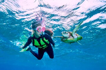 Quad Biking & Snorkeling Adventure With Lunch from Marsa Alam - Image 3