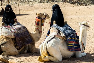 Desert Spider Car Buggy Experience With Transfer - Marsa Alam - Image 2