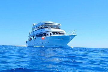 Dolphin House Boat Trip With Snorkeling & Lunch From Hurghada - Image 1