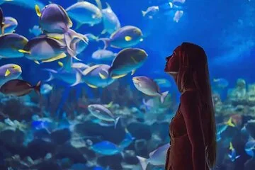 Grand Aquarium Hurghada: Underwater World Tour with Hotel Transfers