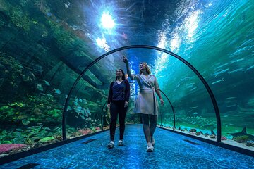 Grand Aquarium Discovery with Transfer from Hurghada - Image 2