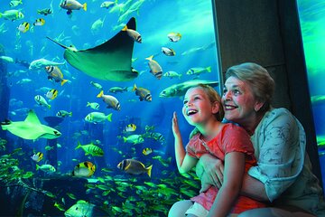 Grand Aquarium Discovery with Transfer from Hurghada - Image 4