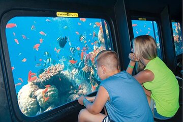 Semi Submarine Sea Trip With transfer_ Sharm El Sheikh - Image 1