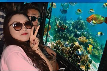 Semi Submarine Sea Trip With transfer_ Sharm El Sheikh - Image 4