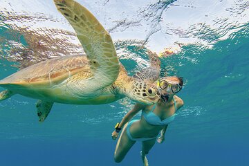 Abu Dabbab Semi Private Snorkeling with Lunch & Transfer Hurghada - Image 1