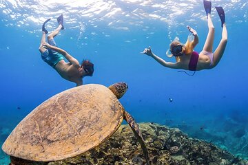 Abu Dabbab Semi Private Snorkeling with Lunch & Transfer Hurghada - Image 2