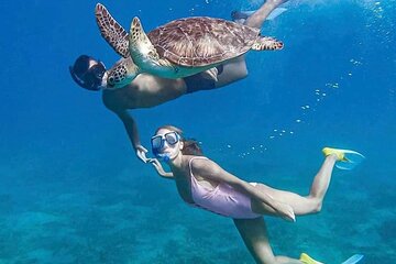 Abu Dabbab Semi Private Snorkeling with Lunch & Transfer Hurghada - Image 3