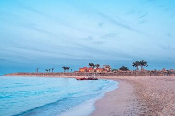 Abu Dabbab Semi Private Snorkeling with Lunch & Transfer Hurghada - Image 4