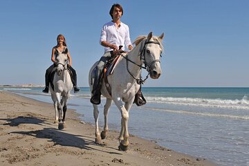 1 Hour Horse Back Riding on the Beach From Sharm El Sheikh - Image 2