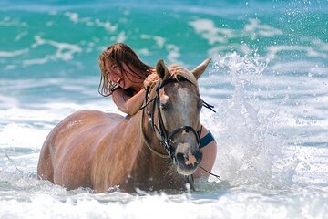 1 Hour Horse Back Riding on the Beach From Sharm El Sheikh - Image 3