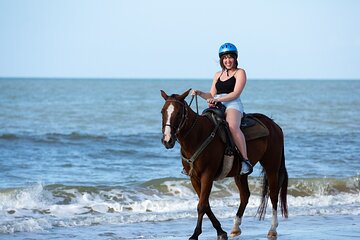 1 Hour Horse Back Riding on the Beach From Sharm El Sheikh - Image 4