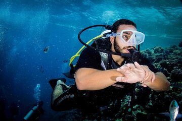 Diving for Beginner Two Dives Boat Trip with transfer in Hurghada - Image 1