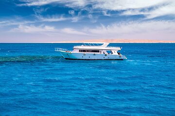 Diving for Beginner Two Dives Boat Trip with transfer in Hurghada - Image 2