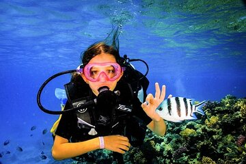 Diving for Beginner Two Dives Boat Trip with transfer in Hurghada - Image 3