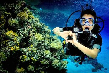 Посмотреть все фотографии