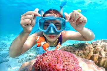 Alle Fotos ansehen