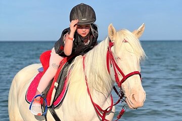 Horse riding Adventure on the Sea with Transfer in Hurghada - Image 2