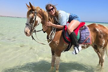 Horse riding Adventure on the Sea with Transfer in Hurghada - Image 3
