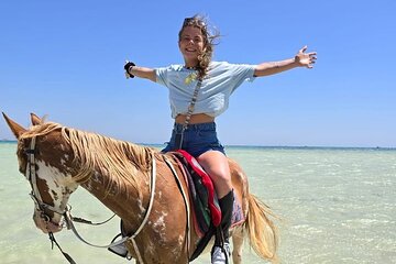 Horse riding Adventure on the Sea with Transfer in Hurghada - Image 4