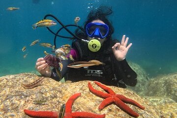 White Island & Ras Mohamed Full day with Lunch in Sharm El Sheikh - Image 2
