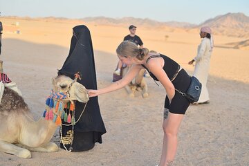 Starwatching, Camel Ride and Romantic Dinner in Hurghada Safari - Image 4