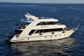 VIP Ras Mohamed and White Island boat trip - Image 1