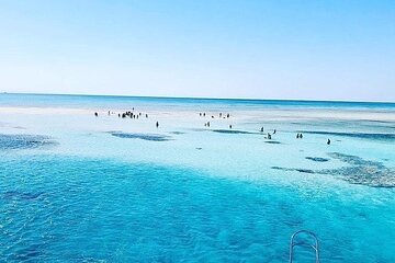 VIP Ras Mohamed and White Island boat trip - Image 2