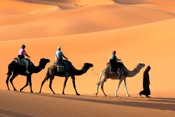 Sharm El Sheikh Quad Bike Safari Tour with Roundtrip Transfer - Image 3